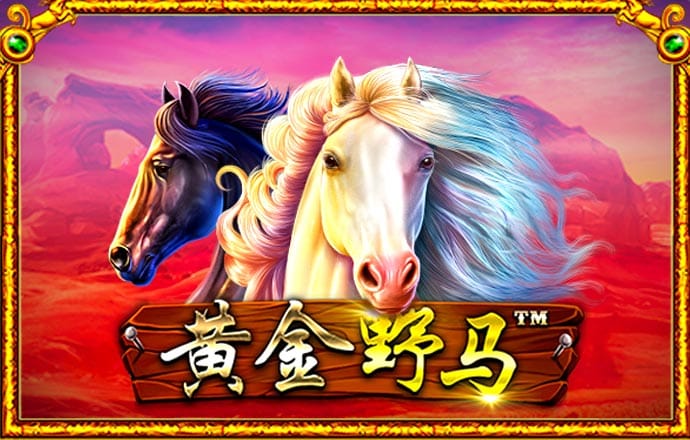 利奥国际app