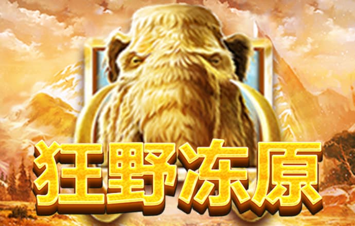 竞技联盟德州sohoo官网版